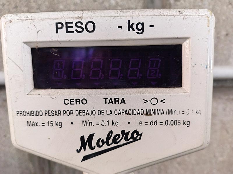 Foto 02
